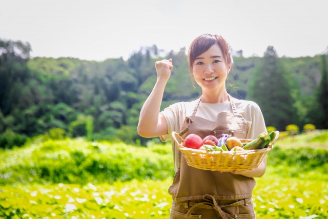 野菜を持って田畑に立つ女性